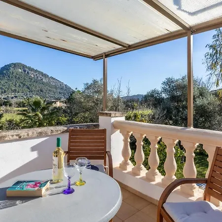 Oliveras By Pollença